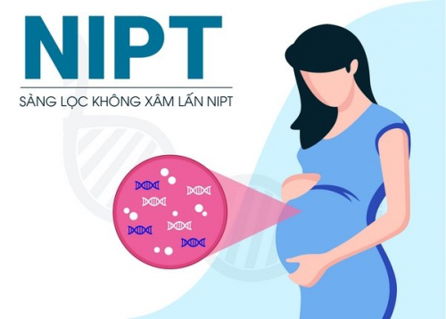 Dịch Vụ Xét nghiệm NIPT  Tại Nhà