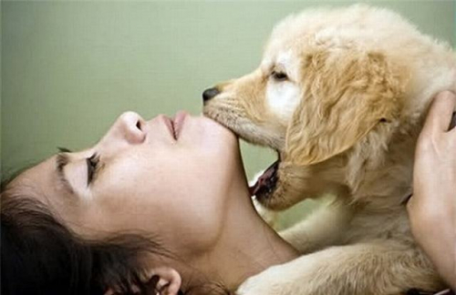 Dịch Vụ Xét nghiệm Nhiễm Giun Đũa Chó Tại Nhà